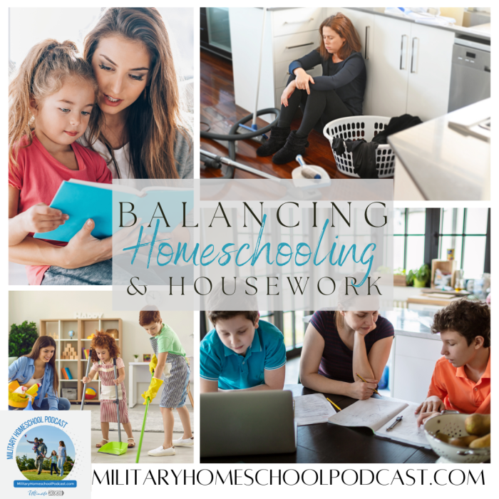 Work housework list homeschool balance schedule task balancing